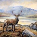 Scottish Stag