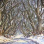 Dark Hedges Co Antrim