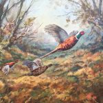 Woodland Pheasants