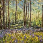 Portglenone Bluebells Co,Antrim