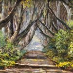 Dark Hedges Co Antrim
