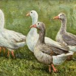 Gaggle of Geese