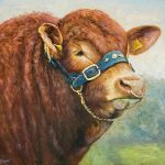 Limousien Bull