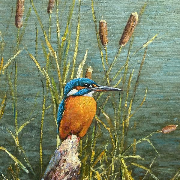 Kingfisher