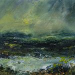 Bogland Reflections