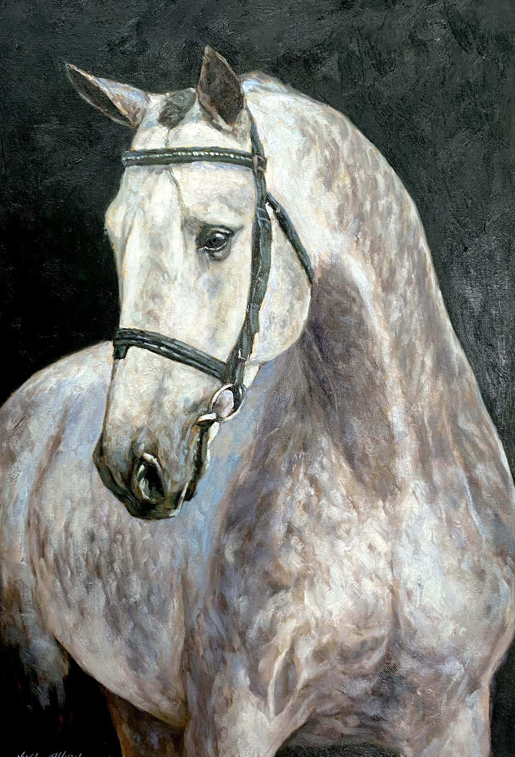 IMG_0317 The Grey Mare - Image 1