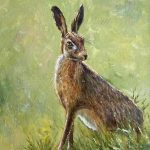 Rathlin Hare